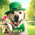 Pet 3D Cartoons - Upload your photo and enjoy the magic - Dreamtale Cartoons