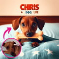 Pet 3D Cartoons - Upload your photo and enjoy the magic - Dreamtale Cartoons